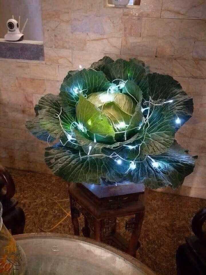 Cây nhà lá vườn vẫn là tuyệt vời nhất, thêm ít đèn nháy thì lung linh chả kém mai đào là mấy. Ảnh: Tổng hợp Facebook