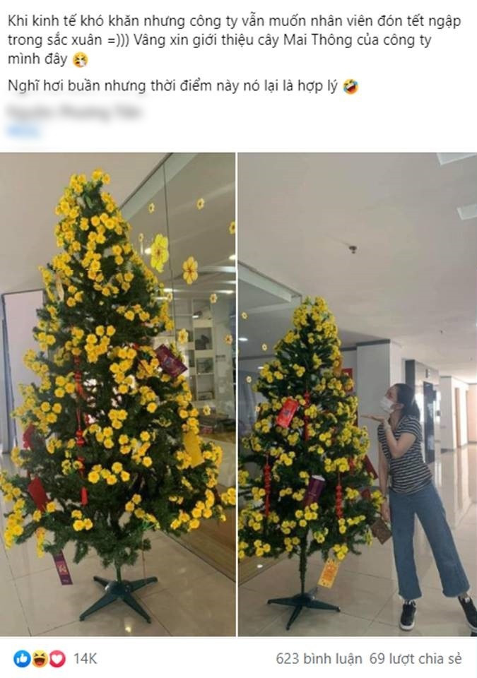 Nhiều công ty còn tận dụng cả những món đồ trang trí của những dịp lễ khác để biến tấu trong mùa Tết năm nay. Như cây "mai thông" này là một ví dụ điển hình. Ảnh: Không Sợ Chó