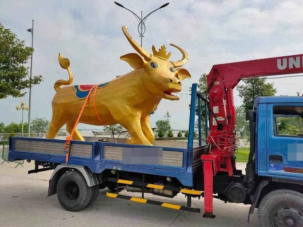Một trường hợp tương tự gây cười cho cộng đồng mạng về linh vật năm nay chính là chú trâu vàng ở Long An. Những hình ảnh này được ghi lại khi chú trâu có gương mặt ngẩn ngơ, hoảng hốt được vận chuyển trên đường.