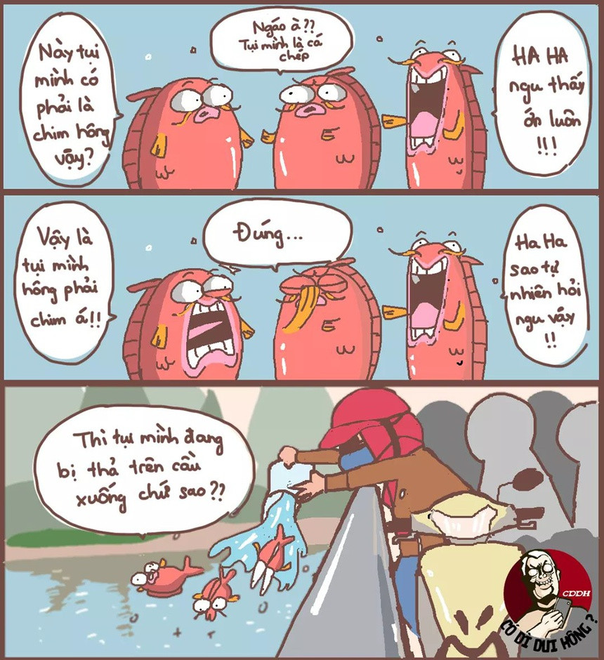 Cùng với túi nylon, năm nay vẫn tiếp diễn tình trạng người dân đứng trên cầu thả cá xuống sông. Ảnh: Có gì dui hông?