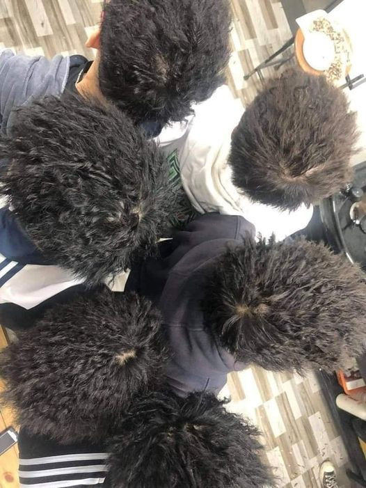 Nhiều cánh mày râu đã làm đẹp đón Tết bằng kiểu tóc này và thi nhau chia sẻ trên MXH. Ảnh: FB B.VN