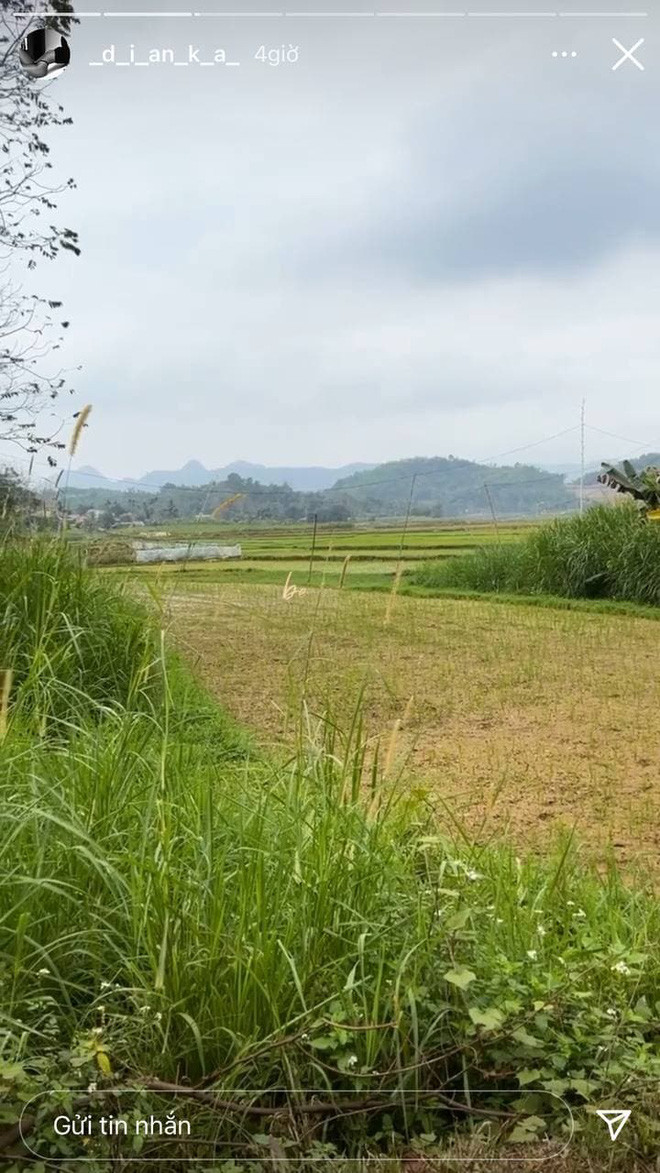 Cô nàng chia sẻ clip ngắn ghi lại cảnh đồng quê và khen nơi đây thật đẹp.