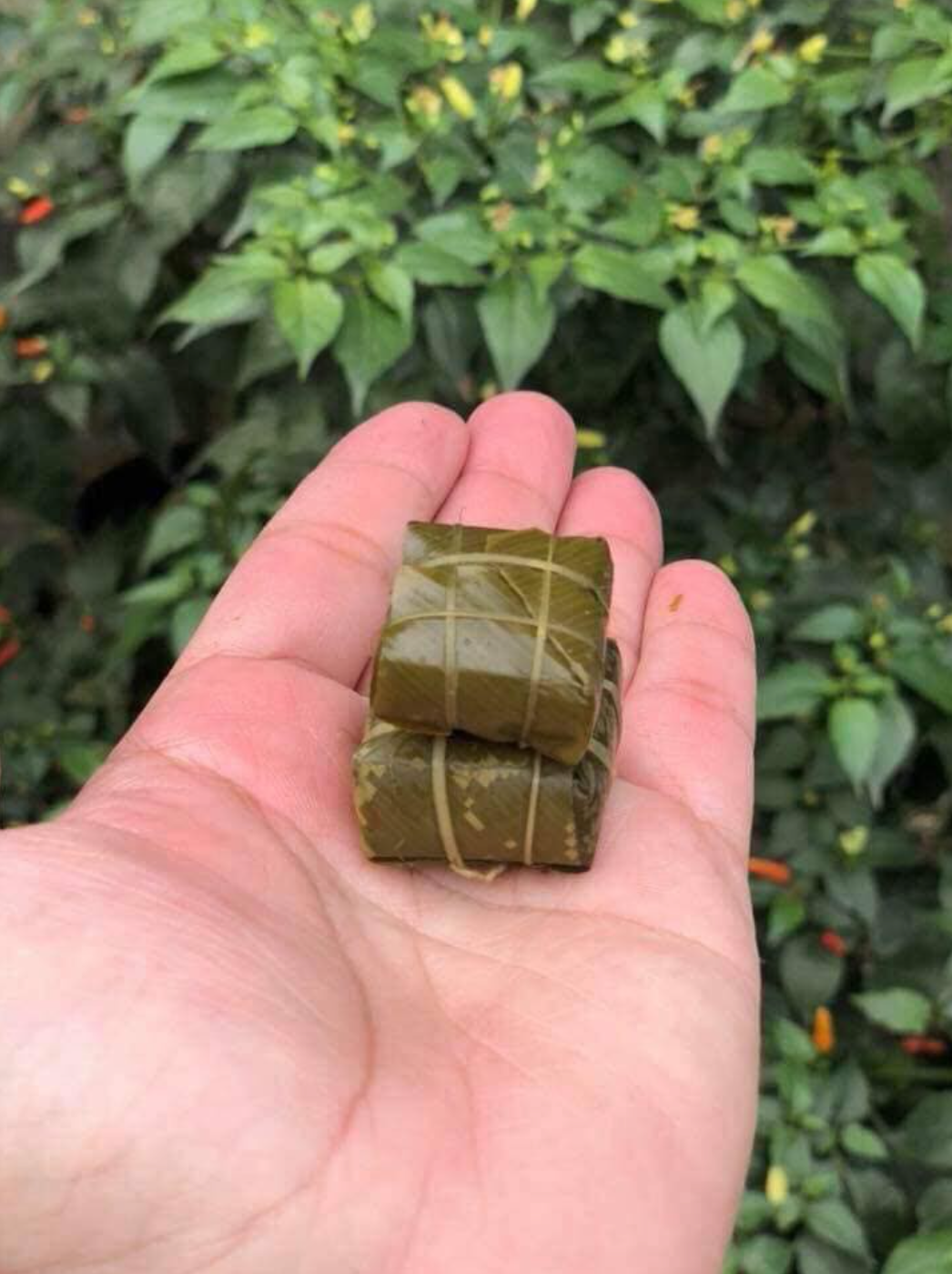 Ngoài phiên bản bánh chưng, bánh tét không nhân dành cho "con nhà nghèo", MXH thời gian qua sốt rần rần với các loại bánh với size mini cực độc đáo.