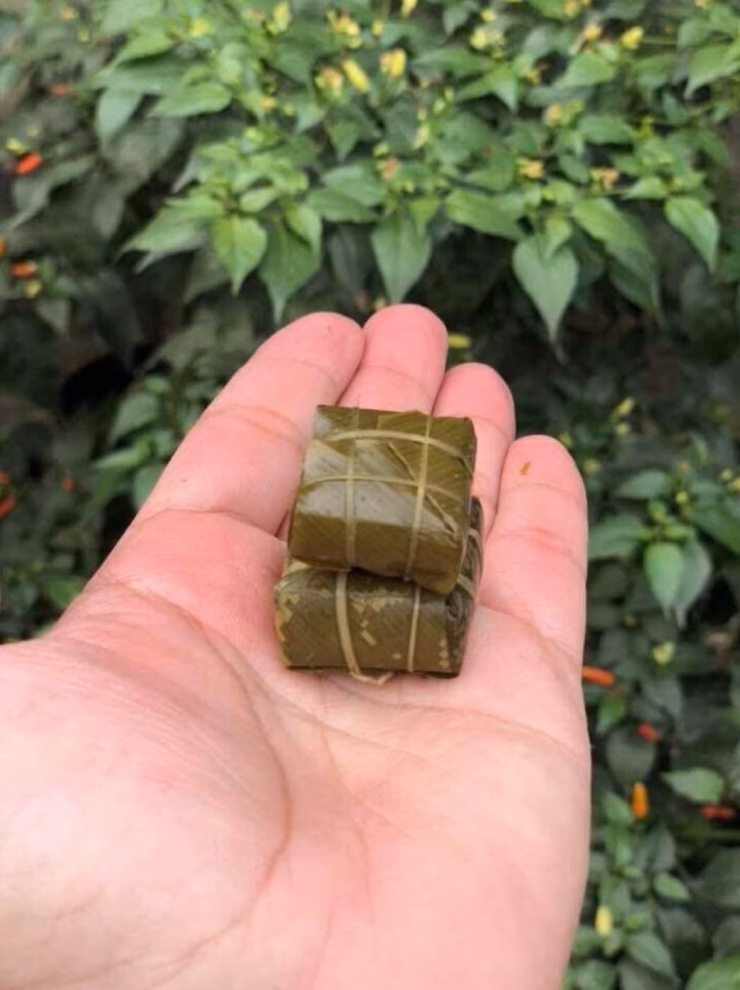 Ngoài phiên bản bánh chưng, bánh tét không nhân dành cho "con nhà nghèo", MXH thời gian qua sốt rần rần với các loại bánh với size mini cực độc đáo.