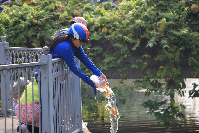 Hàng năm vào ngày 23 tháng Chạp, theo phong tục truyền thống, các gia đình sẽ chuẩn bị tươm tất một mâm cỗ để tiễn ông Công ông Táo về trời. Ngoài mâm cỗ cúng, người Việt còn có tục thả cá chép vào ngày này, và cũng từ đây có nhiều tình huống dở khóc dở cười xuất hiện khiến ai nhìn cũng bất lực.