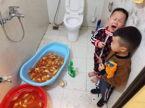 Hai cậu bé yêu cá nên dùng nước lau sàn tắm cho chúng. Bố mẹ nhìn cảnh tượng này chỉ biết bất lực.