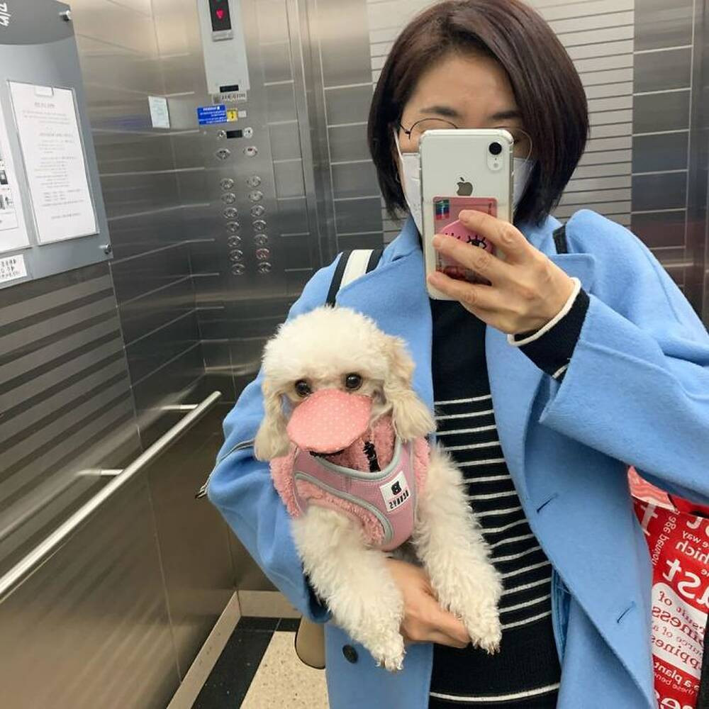 Hưởng ứng bức ảnh đáng yêu này, nhiều người cũng bắt đầu khoe hình thú cưng được bảo vệ khỏi virus corona.