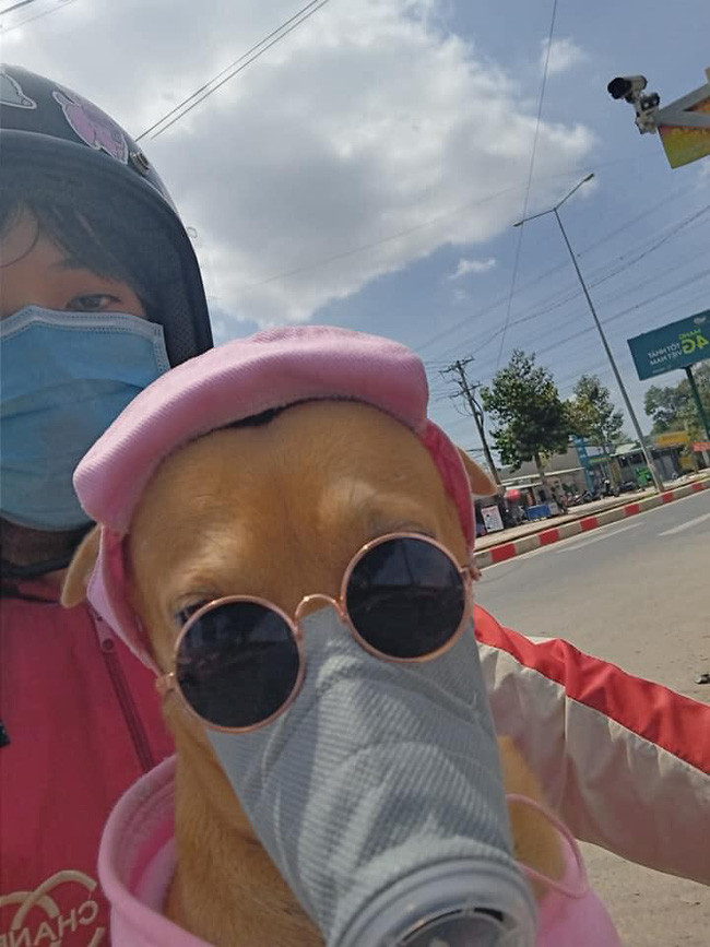 Hình ảnh chú chó tự sướng cùng cô chủ khi cả 2 đều đeo khẩu trang ra đường hiện tại đang hot trên MXH. Ảnh: Nguyễn Linh Đa