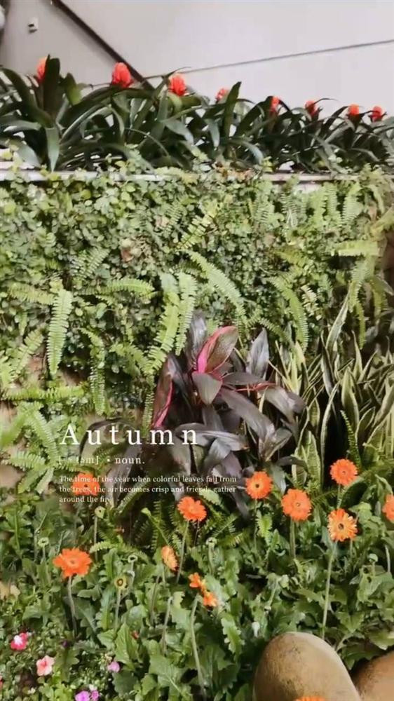 Đây có vẻ như là một góc sân vườn của biệt thự nhà Phanh Lee. Qua hình ảnh thấy được cô nàng đang tận hưởng cuộc sống sung túc như thế nào.