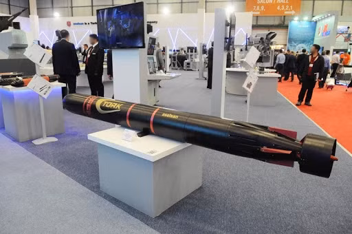 Tổ hợp ngư lôi chống tàu và ngư lôi chống ngư lôi của Nga gồm ngư lôi nhiệt MTT và ngư lôi phản lực chống tàu M15. Hệ thống Paket-NK có thể hoạt động độc lập hoặc được tích hợp vào hệ thống chống ngầm/chống ngư lôi của tàu để đối phó một số mối nguy hiểm trong chế độ hoàn toàn tự động.