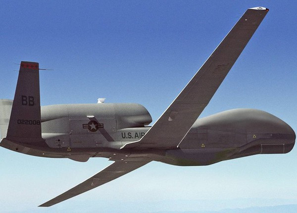 Loại UAV do thám này có khả năng chụp, thu thập, truyền về căn cứ các hình ảnh địa hình, vật thể, trận địa với độ phân giải cực cao. Ngoài ra nó cũng có thể nghe trộm đường truyền tín hiệu và ghi lại các hoạt động dưới mặt đất.