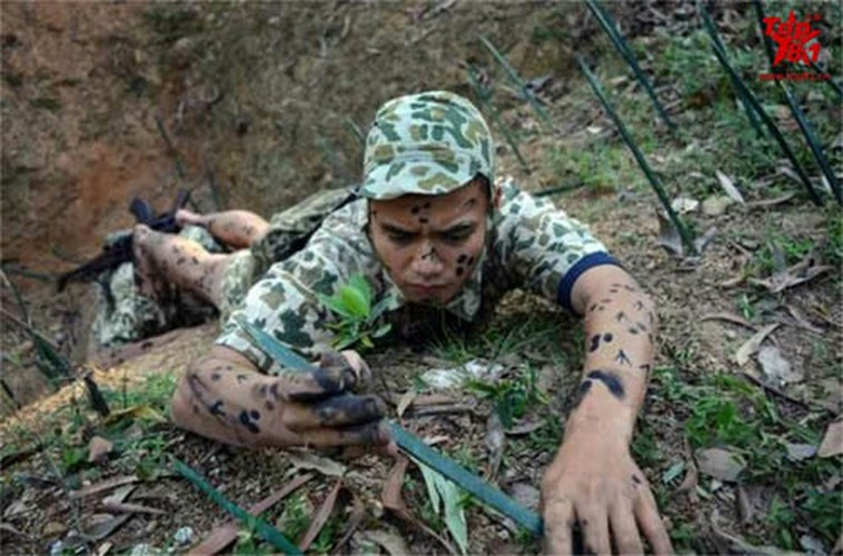 Từng có chuyên gia căn cứ vào sức chiến đấu của các lực lượng đặc biệt trên thế giới rồi tạo ra một bảng xếp hạng. Điều khiến người ta kinh ngạc là Đặc công Việt Nam được xếp ở vị trí thứ 7, sau các lực lượng đặc biệt nổi tiếng thế giới của Mỹ, Anh và là lực lượng đặc biệt duy nhất ở châu Á được xếp vào danh sách này.