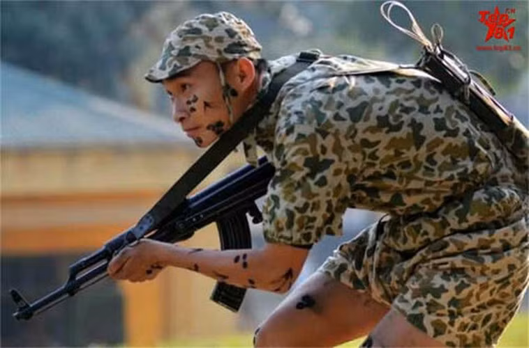 Tờ Sina của Trung Quốc từng có rất nhiều bài viết ngợi khen về các lực lượng quân đội cùng vũ khí, khí tài của Việt Nam trong quá khứ. Trang mạng uy tín của Trung Quốc này từng viết về lực lượng đặc công Việt Nam như sau: Bộ đội Đặc công Việt Nam được thành lập năm 1964. Trong chiến tranh chống Mỹ, lực lượng này đã triển khai chiến tranh du kích lâu dài. Việt Nam đã không ngừng mở rộng và phát triển bộ đội Đặc công lên thành 13 trung đoàn, 1 lữ đoàn đổ bộ đường không.