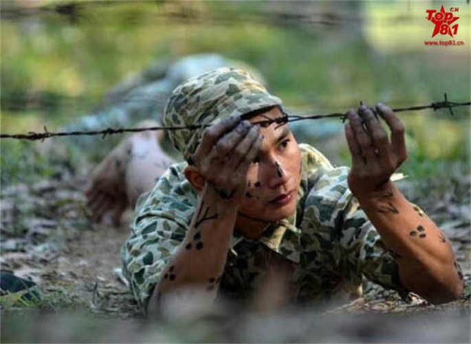 Năm 1964, để phát huy hiệu quả không thể thay thế của lực lượng đặc công, quân đội Việt Nam đã đem các đơn vị đặc công nhỏ ở các chiến trường tập trung lại, tạo thành một đơn vị lớn cấp sư đoàn chính thức là sư đoàn đặc công 305.