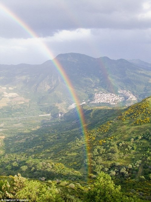 Lời nguyền được cho là chỉ ảnh hưởng tới khách tham quan. Di Napoli nói bà miễn dịch với lời nguyền. Những thứ không hay ho chỉ xảy đến những ai yếu bóng vía hay mới tới đây lần đầu.