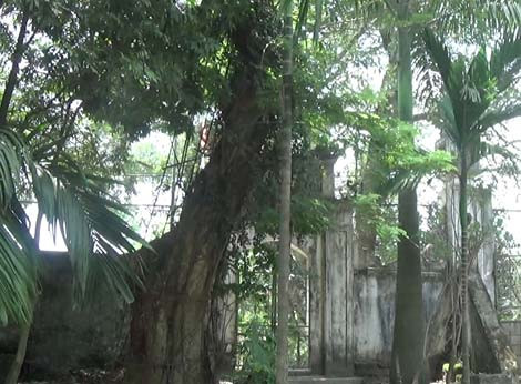 Chet cuoi chuyen ca lang thuc trang chong ke trom sua-Hinh-3