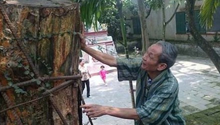 Chet cuoi chuyen ca lang thuc trang chong ke trom sua