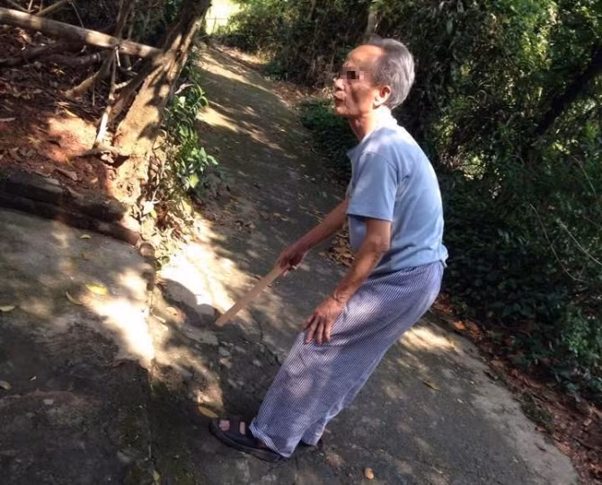 Cau noi lanh nguoi trong vu bo cua co con gai