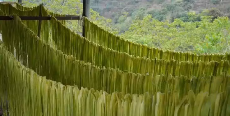 Từ chàng trai khuyết tật đến chủ trang trại rau - Hình 2 Tu chang trai khuyet tat den chu trang trai rau-Hinh-2