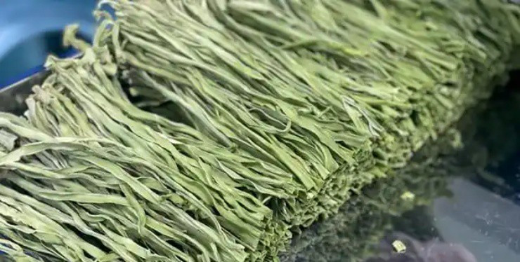 Từ chàng trai khuyết tật đến chủ trang trại rau - Hình 3 Tu chang trai khuyet tat den chu trang trai rau-Hinh-3