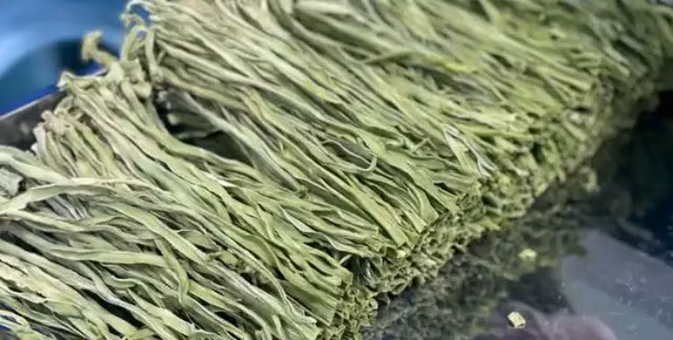 Từ chàng trai khuyết tật đến chủ trang trại rau - Hình 3 Tu chang trai khuyet tat den chu trang trai rau-Hinh-3