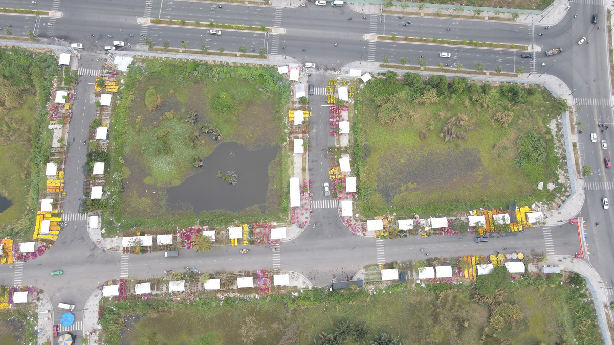 Chợ hoa xuân TP Thủ Đức nhìn từ trên cao. (Ảnh: Xuân Thọ)