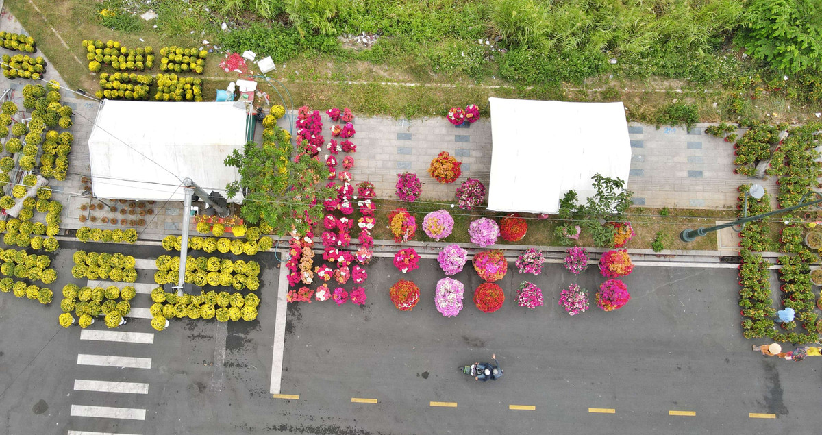 Với sức mua chưa được lớn, người bán hoa kỳ vọng vài ngày tới "tình thế" sẽ được thay đổi. (Ảnh: Xuân Thọ)