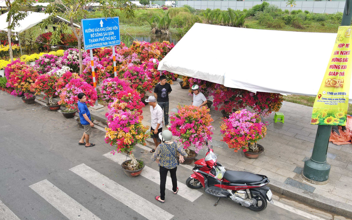 Một số người đang lựa chọn mua hoa giấy. (Ảnh: Xuân Thọ)
