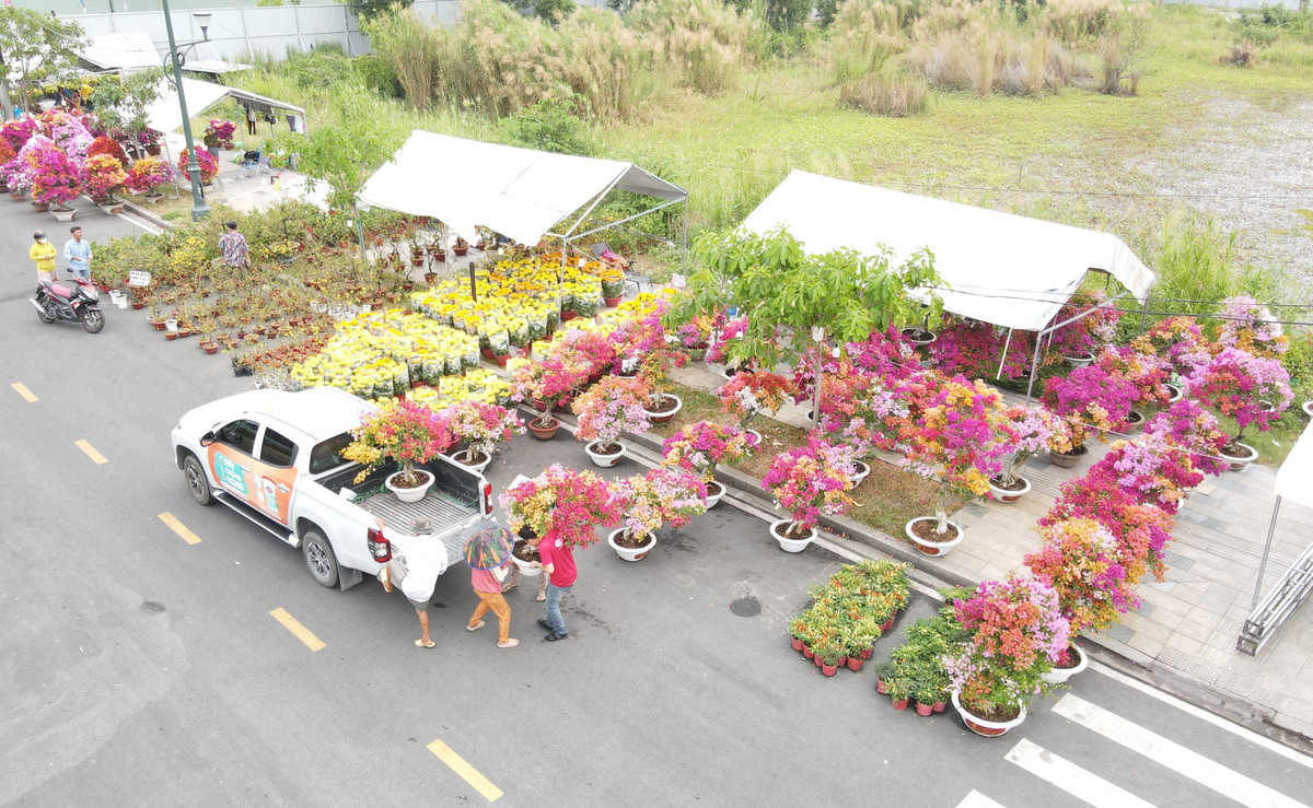 Sáng 5/2, anh Nguyễn Nam Minh (38 tuổi, ở phường Thủ Thiêm, TP Thủ Đức, TP HCM) cùng vợ lái xe bán tải đến chợ hoa để mua. Anh cho biết nhà mình cần 3 chậu hoa để trang trí đón Tết. (Ảnh: Xuân Thọ)