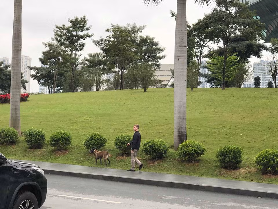 Chó nghiệp vụ liên tục đi quanh khách sạn để tuần tra an ninh.