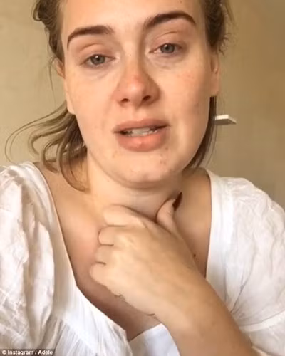 Bức ảnh mặt mộc này của Adele chụp lúc cô đang bị ốm và lên Snapchat xin lỗi fan vì đã hủy show. (Ảnh: Instagram)