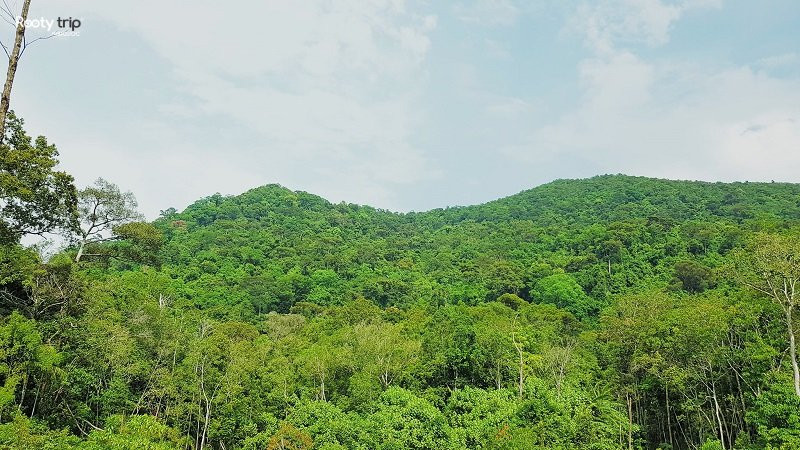 Ở phi vụ thứ 3, Hằng nhận làm giấy tờ thửa đất rộng 4,5 ha cho ông Tiến với thù lao 50% diện tích đất. Phần diện tích này vốn là đất rừng phòng hộ thuộc quản lý của Vườn quốc gia Phú Quốc. Sau một năm không thể làm giấy tờ trong khi đang mắc nợ nần, ông Tiến quyết định bán luôn cả thửa đất giá 1 tỷ đồng cho Mót và Hằng. Trưởng Công an TP Phú Quốc sau đó liên hệ ông Lê và bạn của ông này (bị hại vụ thứ 2) để gạ bán với giá gần 9 tỷ đồng cho 3,5 ha và 11,5 tỷ chi phí làm giấy tờ. (Ảnh minh họa, nguồn internet) 