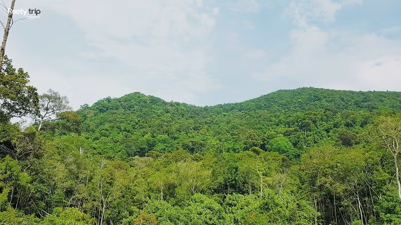 Ở phi vụ thứ 3, Hằng nhận làm giấy tờ thửa đất rộng 4,5 ha cho ông Tiến với thù lao 50% diện tích đất. Phần diện tích này vốn là đất rừng phòng hộ thuộc quản lý của Vườn quốc gia Phú Quốc. Sau một năm không thể làm giấy tờ trong khi đang mắc nợ nần, ông Tiến quyết định bán luôn cả thửa đất giá 1 tỷ đồng cho Mót và Hằng. Trưởng Công an TP Phú Quốc sau đó liên hệ ông Lê và bạn của ông này (bị hại vụ thứ 2) để gạ bán với giá gần 9 tỷ đồng cho 3,5 ha và 11,5 tỷ chi phí làm giấy tờ. (Ảnh minh họa, nguồn internet) 