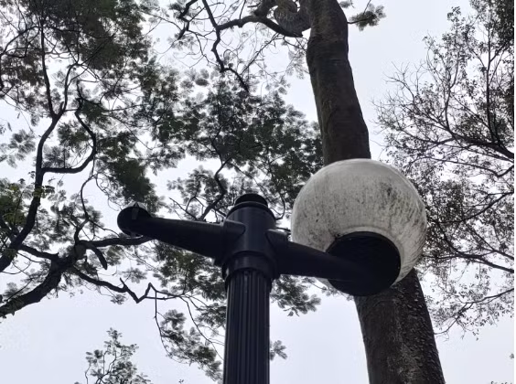 Bóng đèn bị hỏng cũng không được thay thế. 