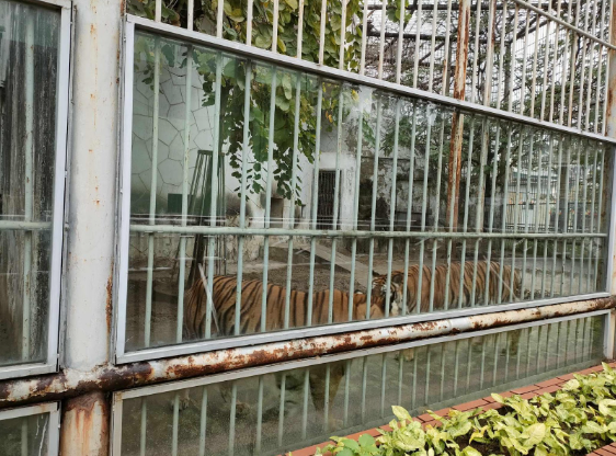 Nhiều hệ thống chuồng thú đã rất cũ kỹ nên khó thu hút được nhiều du khách tham quan. 