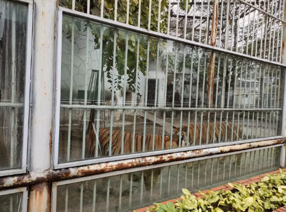 Nhiều hệ thống chuồng thú đã rất cũ kỹ nên khó thu hút được nhiều du khách tham quan. 