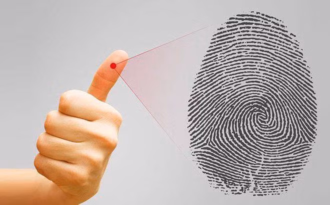 Tại căn bếp, Ban chuyên án phát hiện có vết máu, dấu vân tay dính máu tại một số đồ vật và trên xe máy của người chồng. Ngoài ra, camera trong nhà cũng có dấu hiệu bất thường: Vào lúc 8h30 ngày 6/2, nạn nhân có mặt ở nhà cùng chồng, nhưng đến 9h58 thì camera bất ngờ…mất tín hiệu. Kết quả giám định cho thấy các vết máu ở, trên xe máy và trên thi thể là của cùng một người nên Ban chuyên án nhận định, hiện trường đầu tiên của vụ án là ở nhà. (Ảnh minh họa, nguồn internet)