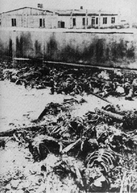 11. Từ năm 1039 đến năm 1945 tội ác của phát xit Đức.