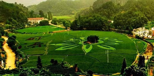 Thuat phong thuy cua Luu Ba On giup 260 nguoi cung lang lam quan-Hinh-2