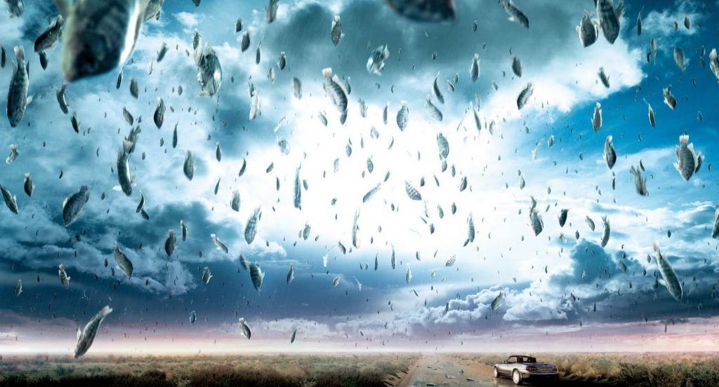 Những cơn mưa ếch, cóc gần đây nhất được ghi nhận tại Serbia (2005), London (1998), mưa cá ở Ấn Độ (2006) và xứ Wales (2004). Nhưng độc đáo nhất phải kể đến những cơn mưa cá, ếch ở Honduras, xảy ra mỗi năm một lần trong hơn một thế kỷ qua. Dân chúng địa phương gọi hiện tượng thường xảy ra giữa tháng 5 và 6 này là Lluvia de Peces (tạm dịch: mưa cá).