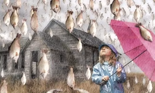 Theo mô tả của người dân, cơn mưa cá mới nhất tại thành phố Departamento de Yoro: Bầu trời xuất hiện những đám mây đen lớn phủ khắp một vùng, tiếp sau đó là sấm chớp rền rĩ, gió thổi mạnh trước khi cơn mưa rào kéo dài 2-3 giờ ập đến. Ngay khi trời tạnh, hàng trăm con cá còn sống rơi ào ào xuống đường phố. Người ta cũng không ngần ngại nhặt về nấu ăn, coi như “lộc trời”. Dù một số nhà khoa học đã cố gắng giải thích rằng đó là sự kiện khí tượng học rất tự nhiên, nhưng vẫn không đủ sức thuyết phục số đông. Bởi, trong những cơn mưa ấy, không hề có cá biển mà chỉ có cá nước ngọt, không lớn mà rất nhỏ, là loại cá không có ở trong vùng.