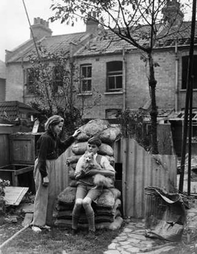 Một thiếu niên ngồi ôm chú cún con trước hiện nhà, xung quanh là các bao cát chống đạn.