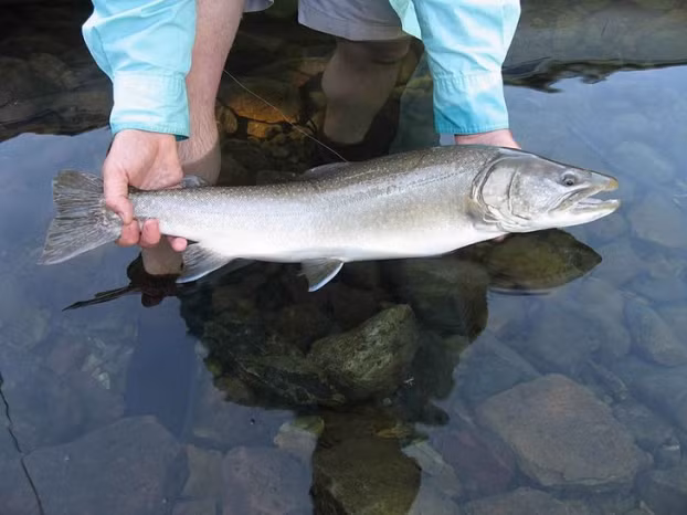 Indiana: Bắt cá bằng ta làkhông hợp pháp.