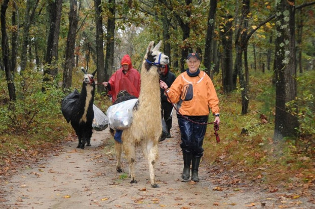 Georgia: bạn sẽ phải chịu trách nhiệm nếu cưỡi lạc đà không bướu mà khiến nó gặp bất kỳ vết thương nào