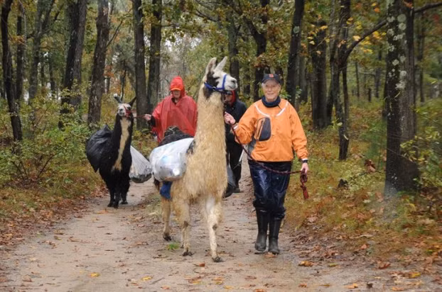 Georgia: bạn sẽ phải chịu trách nhiệm nếu cưỡi lạc đà không bướu mà khiến nó gặp bất kỳ vết thương nào