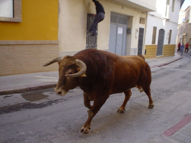Missouri: Nếu một con bò đực, bò tót nổi điên hơn 3 ngày, bất kỳ ai cũng có thể thiến nó.