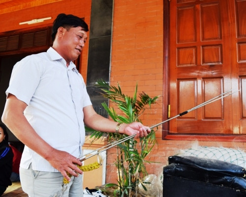 Mỗi lần phát hiện thấy mực, cá... thợ lặn Đoán sẽ nhanh tay dùng chĩa đâm trúng