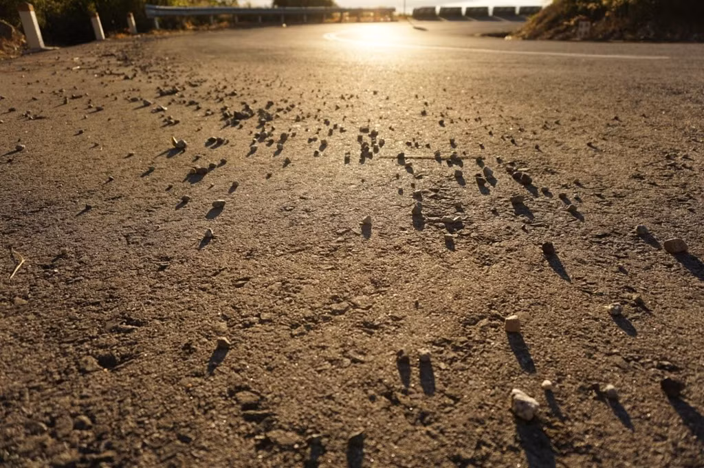 Ánh sáng mặt trời chưa lên cao, con đường đèo đẹp khó tả.