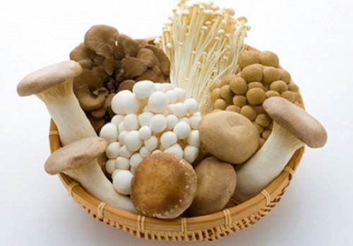 Đối với nấm tươi, để chọn được nấm tươi ngon và an toàn thì trước tiên NTD nên quan sát màu sắc của nấm.