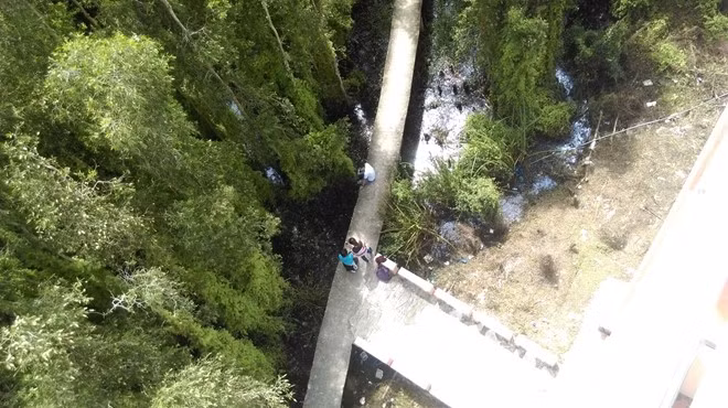 Đến nơi bạn sẽ bắt gặp một tháp canh cao 38 m. Từ trên tháp canh, bạn có thể quan sát được hết toàn bộ rừng tràm.